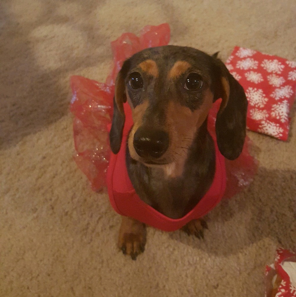 Meet your Posher, Brittany